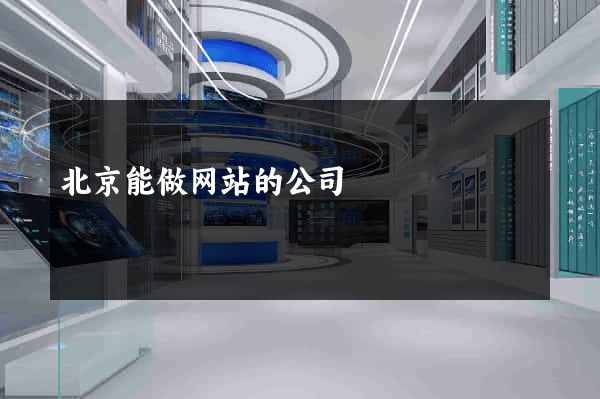 北京能做网站的公司