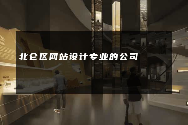 北仑区网站设计专业的公司