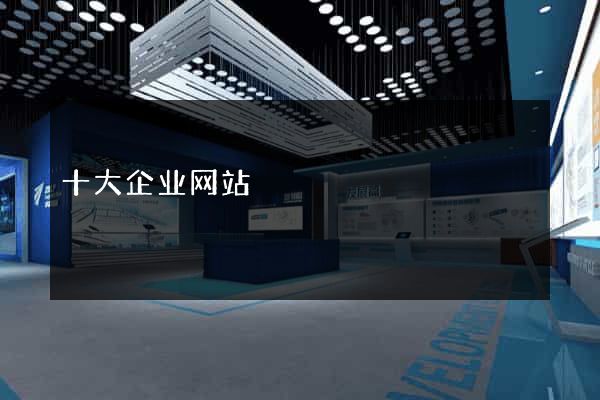 十大企业网站