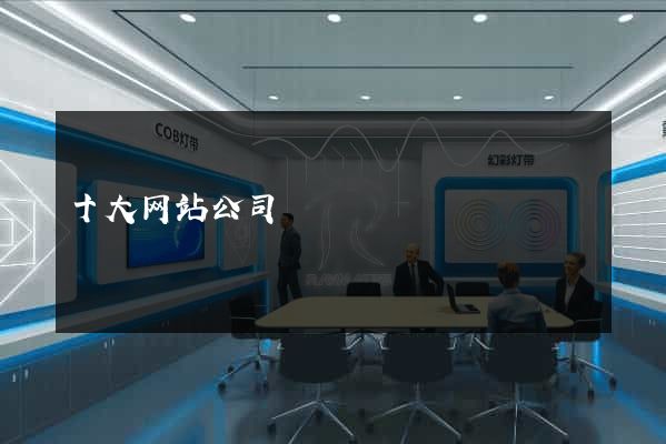 十大网站公司