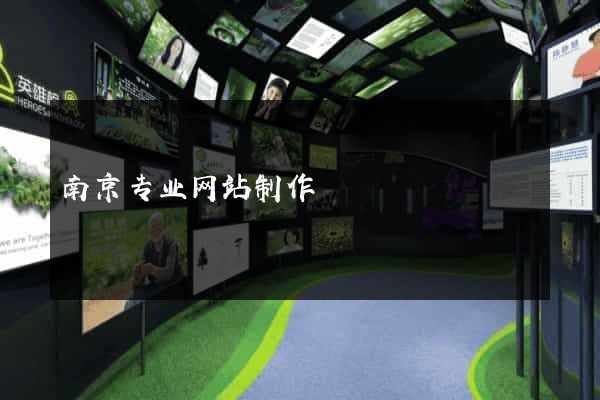 南京专业网站制作