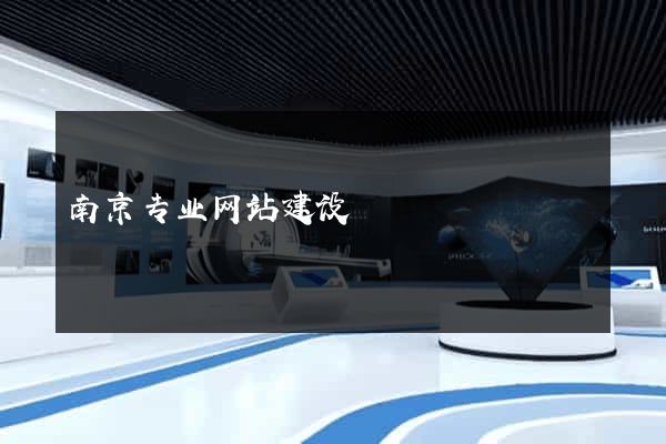 南京专业网站建设