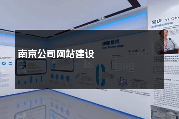 南京公司网站建设