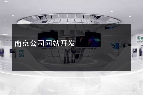 南京公司网站开发