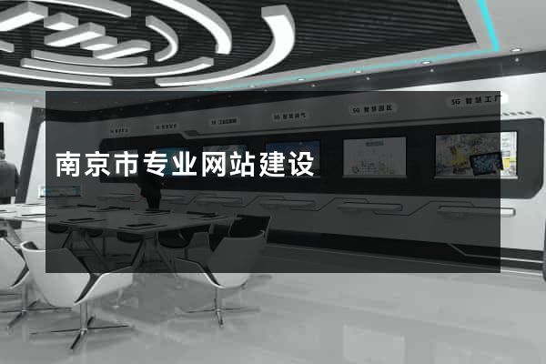 南京市专业网站建设