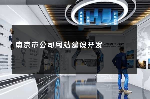 南京市公司网站建设开发