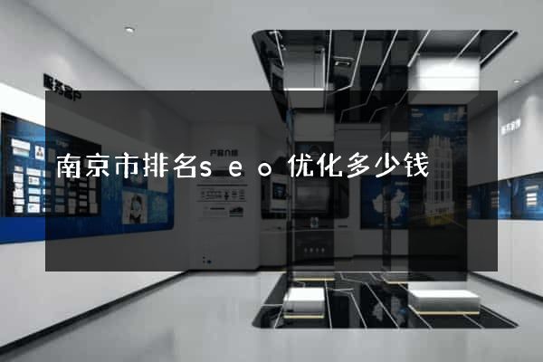 南京市排名seo优化多少钱