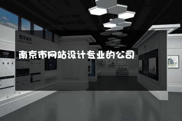 南京市网站设计专业的公司