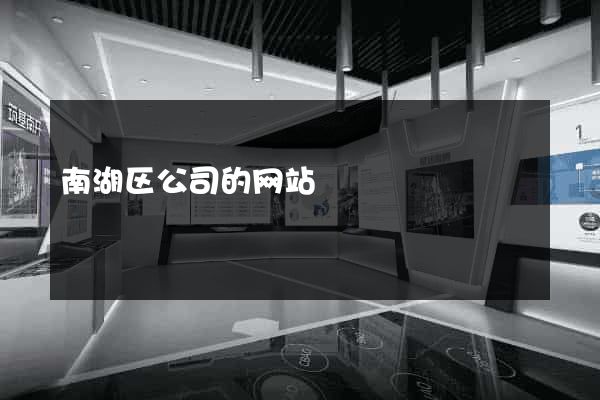 南湖区公司的网站