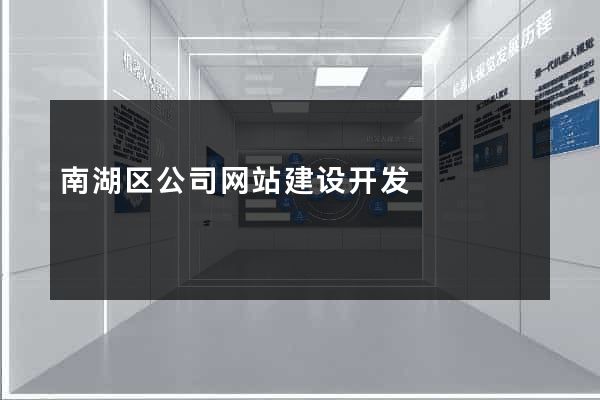 南湖区公司网站建设开发