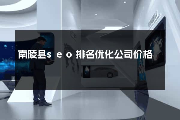 南陵县seo排名优化公司价格