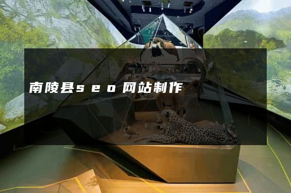 南陵县seo网站制作