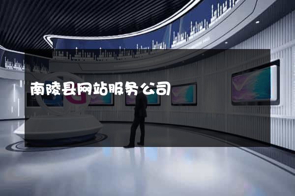 南陵县网站服务公司