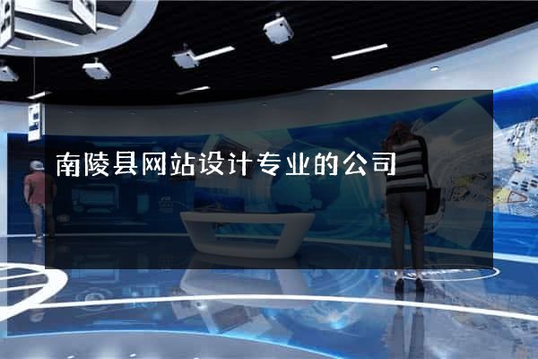 南陵县网站设计专业的公司