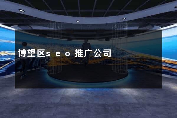 博望区seo推广公司