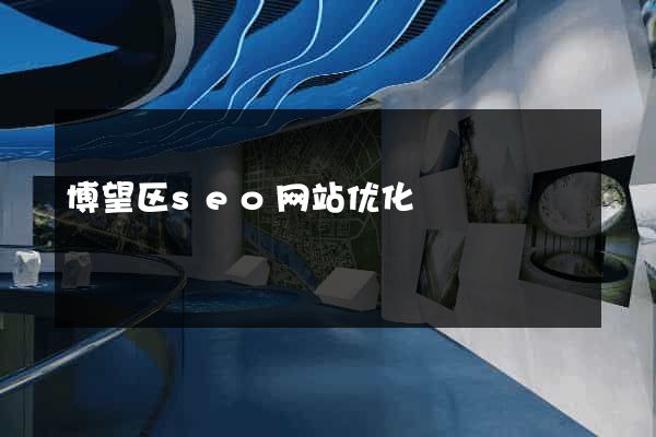 博望区seo网站优化