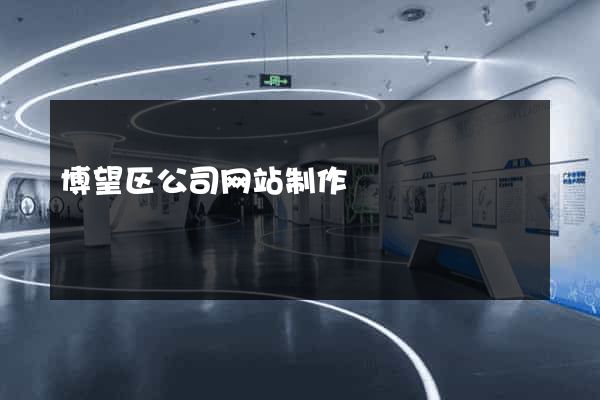 博望区公司网站制作