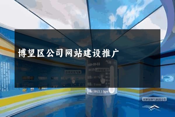 博望区公司网站建设推广