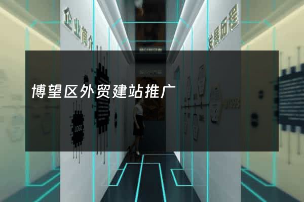 博望区外贸建站推广