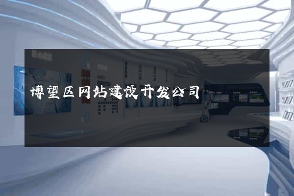 博望区网站建设开发公司