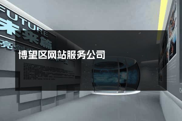 博望区网站服务公司