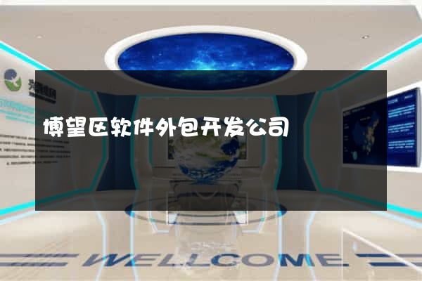博望区软件外包开发公司