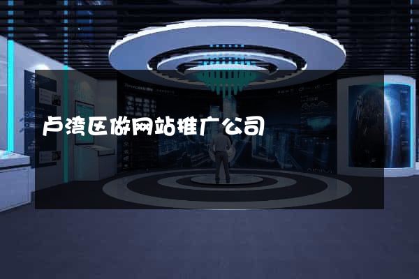 卢湾区做网站推广公司