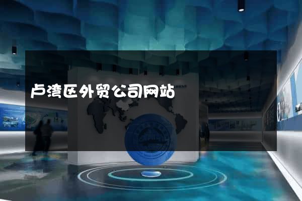 卢湾区外贸公司网站