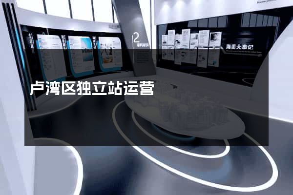 卢湾区独立站运营
