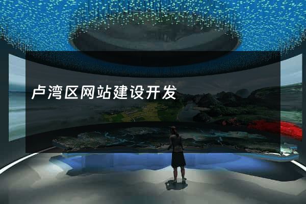 卢湾区网站建设开发