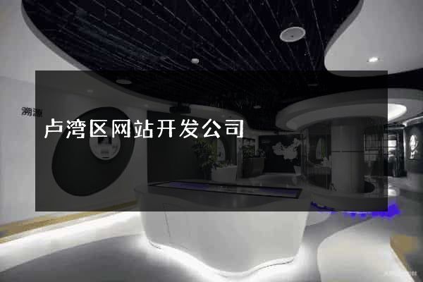 卢湾区网站开发公司