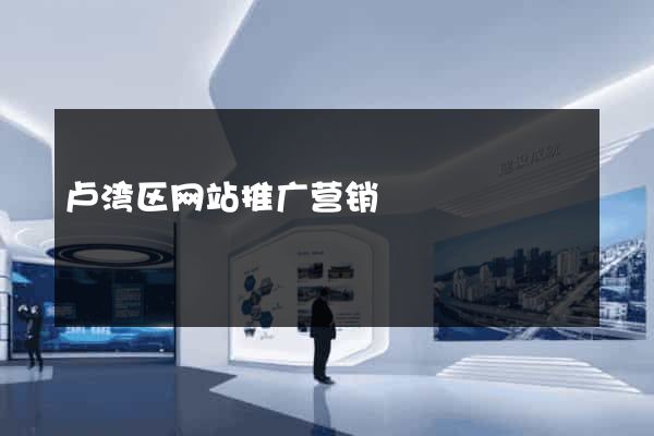 卢湾区网站推广营销