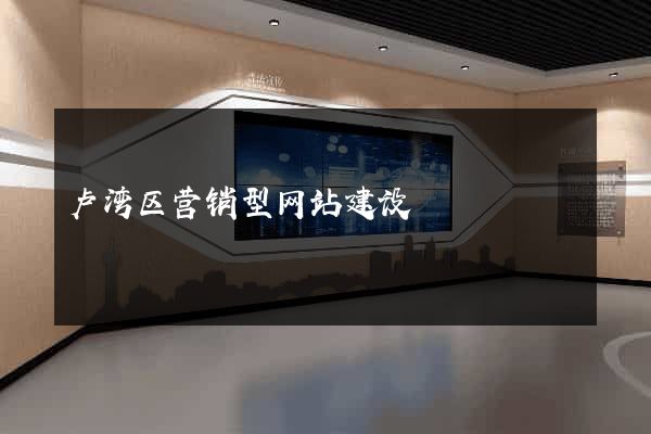 卢湾区营销型网站建设