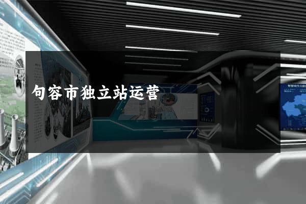 句容市独立站运营