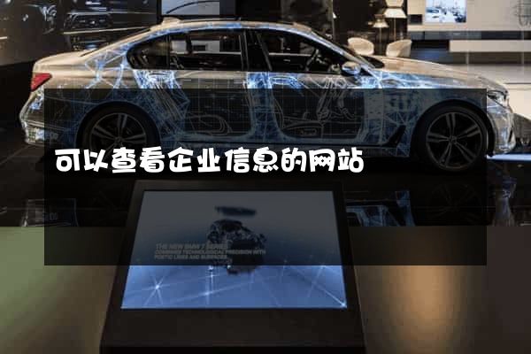 可以查看企业信息的网站