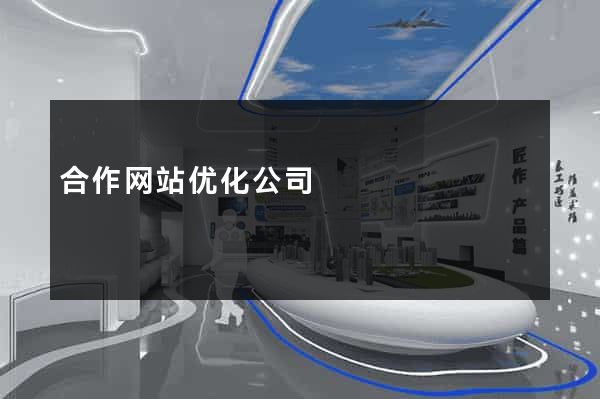 合作网站优化公司