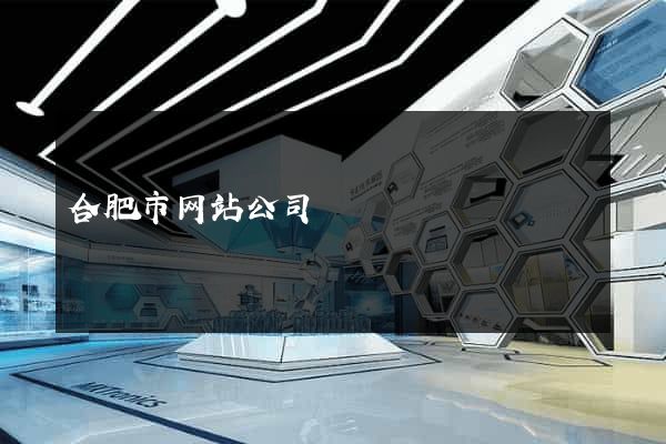 合肥市网站公司
