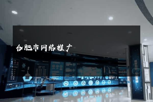 合肥市网络推广