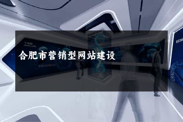 合肥市营销型网站建设