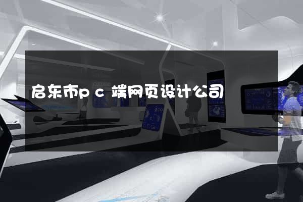 启东市pc端网页设计公司