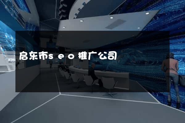启东市seo推广公司