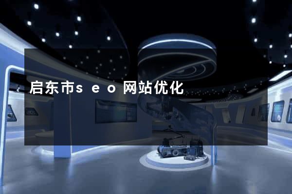 启东市seo网站优化