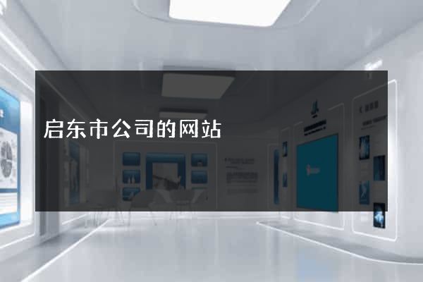启东市公司的网站
