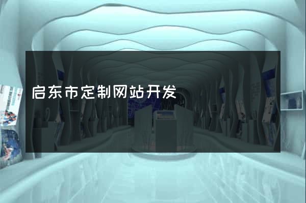 启东市定制网站开发