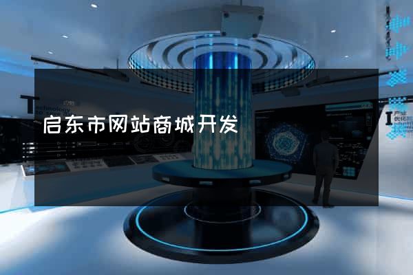 启东市网站商城开发