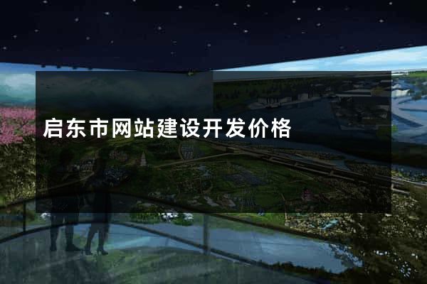 启东市网站建设开发价格