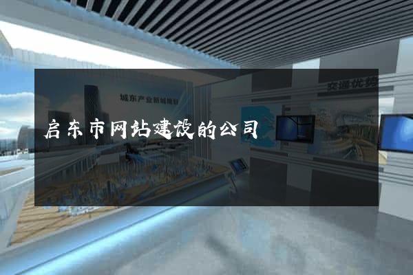 启东市网站建设的公司