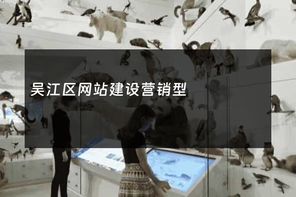 吴江区网站建设营销型
