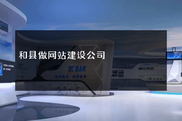 和县做网站建设公司