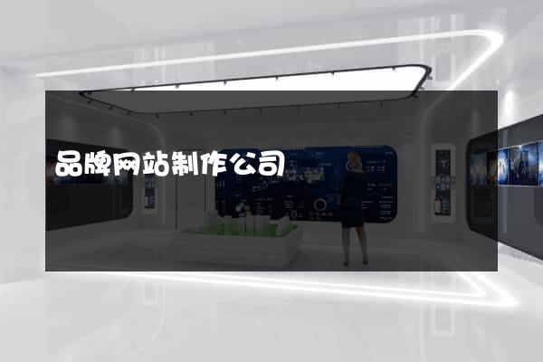 品牌网站制作公司
